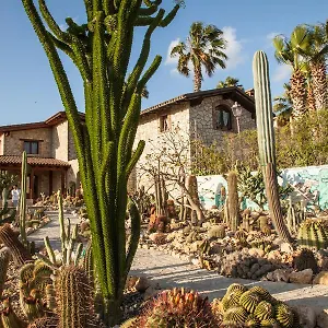 Garden Cactus Villaggio Mosè